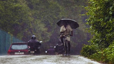 While the North deals with a cold snap, Maharashtra, specifically regions like Pune, Nashik, and Vidarbha, has been battered by unseasonal rain and hailstorms. Representational image