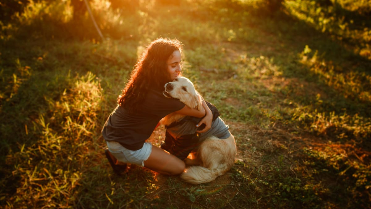 10 Most Loyal Dog Breeds In The World