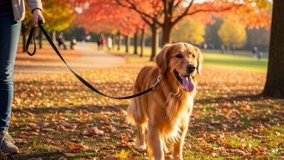 The decision is a part of the Jan Vishwas (Amendment of Provisions) Bill, 2026. (AI Generated Image)