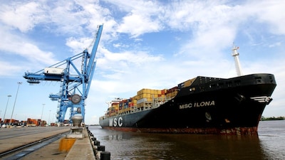 MSC halted Gulf exports amid the ongoing war. (Reuters/File)
