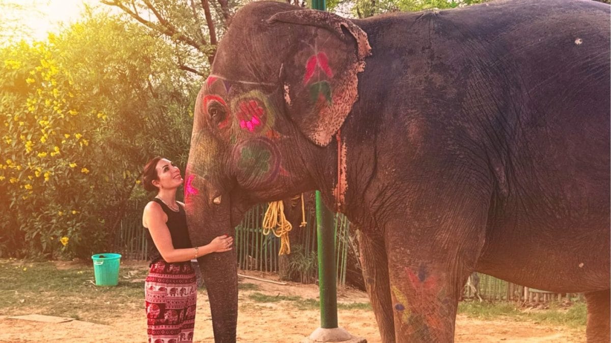 India The Best Country I Have Travelled To: Laura Loomer After Backlash Over Deleted Racist Remarks