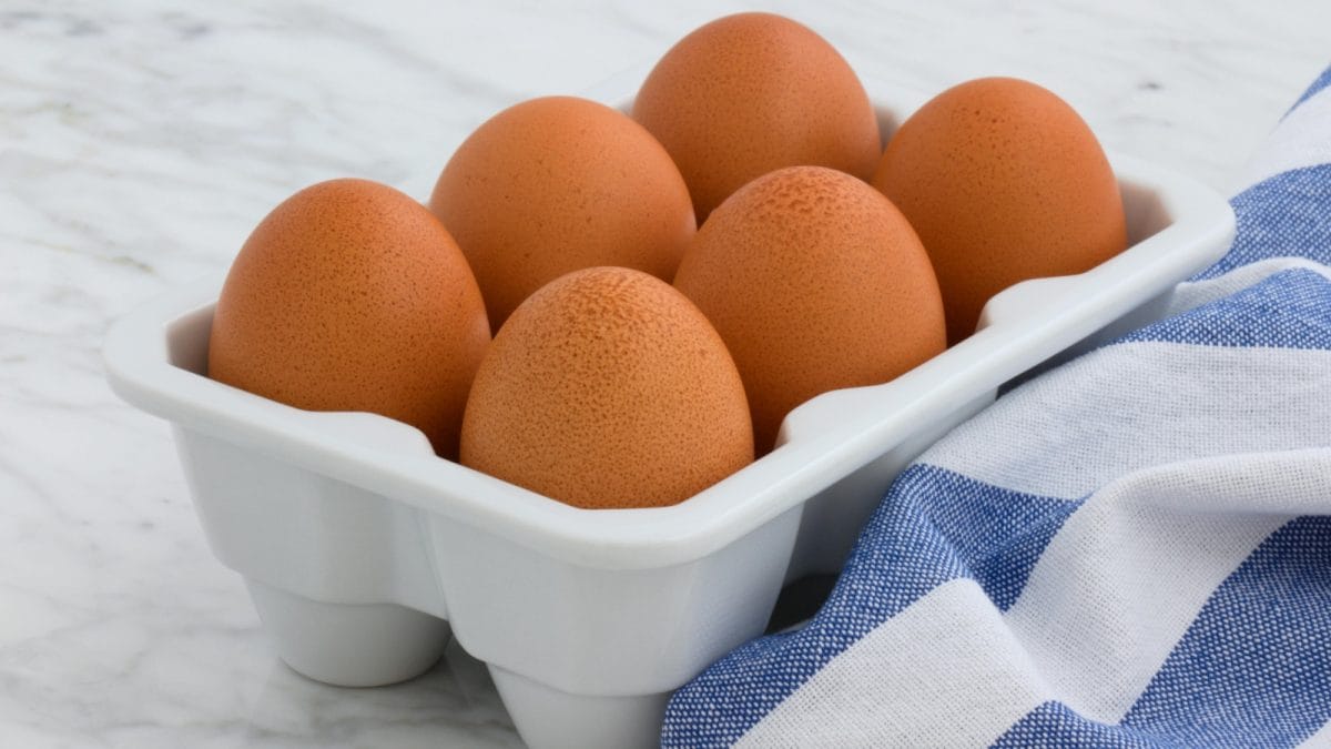 Want To Up Your Protein Intake? Here Are 3 New Recipes To Make Eggs Delicious