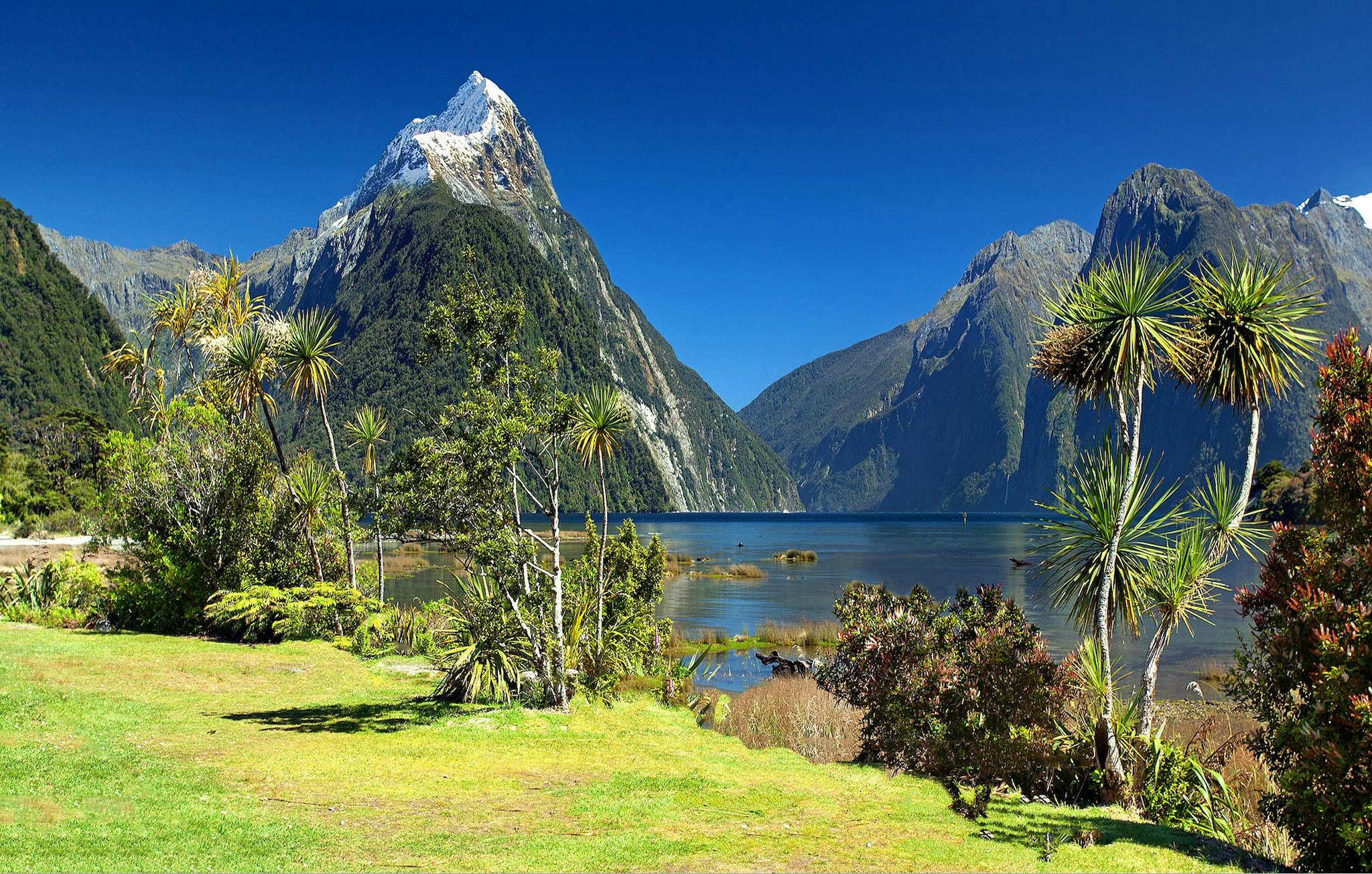 New Zealand: New Zealand is perfect for solo female travellers who love adventure. The locals are friendly, public transport is reliable, and outdoor activities like hiking, kayaking, and exploring fjords are safe and well-organized throughout the country.