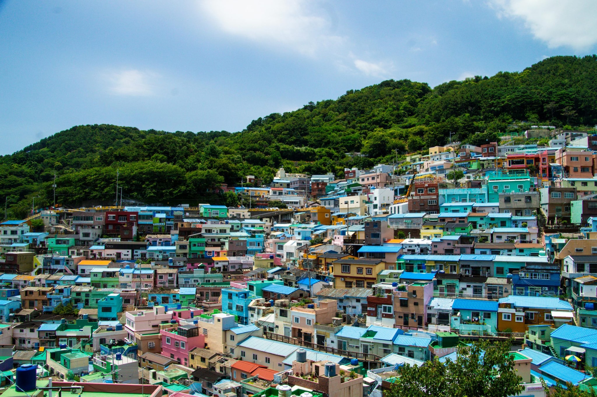 The Gamcheon Culture Village, a hillside neighbourhood of brightly painted houses and winding staircases, was originally built in the 1920s and 1930s to house the poor and was transformed in 2009 into a vibrant arts district. The Gamcheon Culture Village, a hillside neighbourhood of brightly painted houses and winding staircases, was originally built in the 1920s and 1930s to house the poor and was transformed in 2009 into a vibrant arts district.