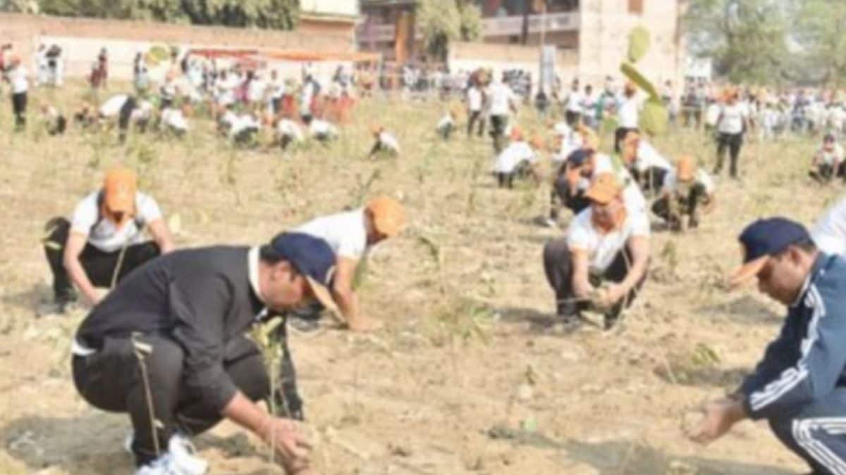 PM Modi's Varanasi Constituency Sets Guinness Record, Plants 2.5 Lakh Saplings In An Hour