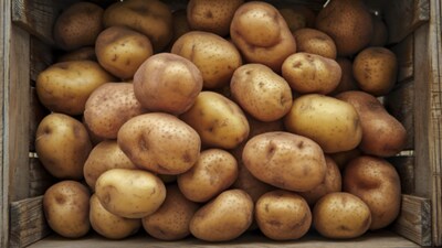 Storing potatoes the wrong way? From avoiding onions to using sand layers, simple fixes can keep them fresh for months and prevent quick spoilage at home.