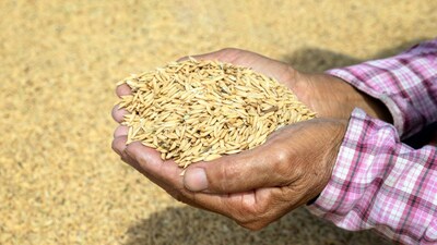 GK: Which State Is Called The Rice Capital Of India?