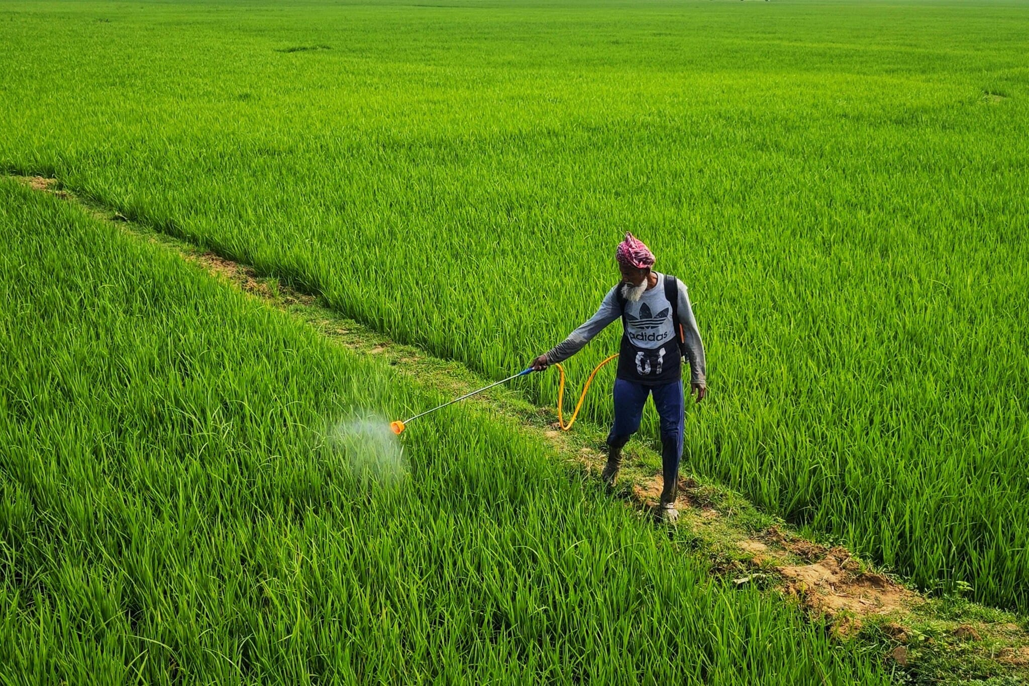 Today, farmers in Nagpur, opens MahaVISTAAR-AI app, asks in Marathi whether rain is expected over the next few days, and receives an instant advisory. He can also upload photographs of crop issues and seek guidance on pest management without leaving his field. 
