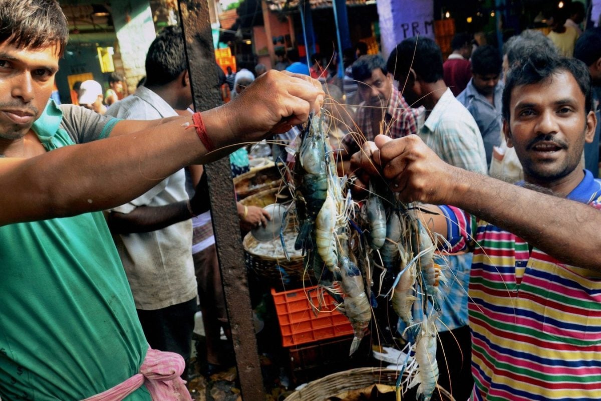 They Spread Too ‘Maach’ Happiness In The City Of Joy: Meet Kolkata’s Fisherfolk
