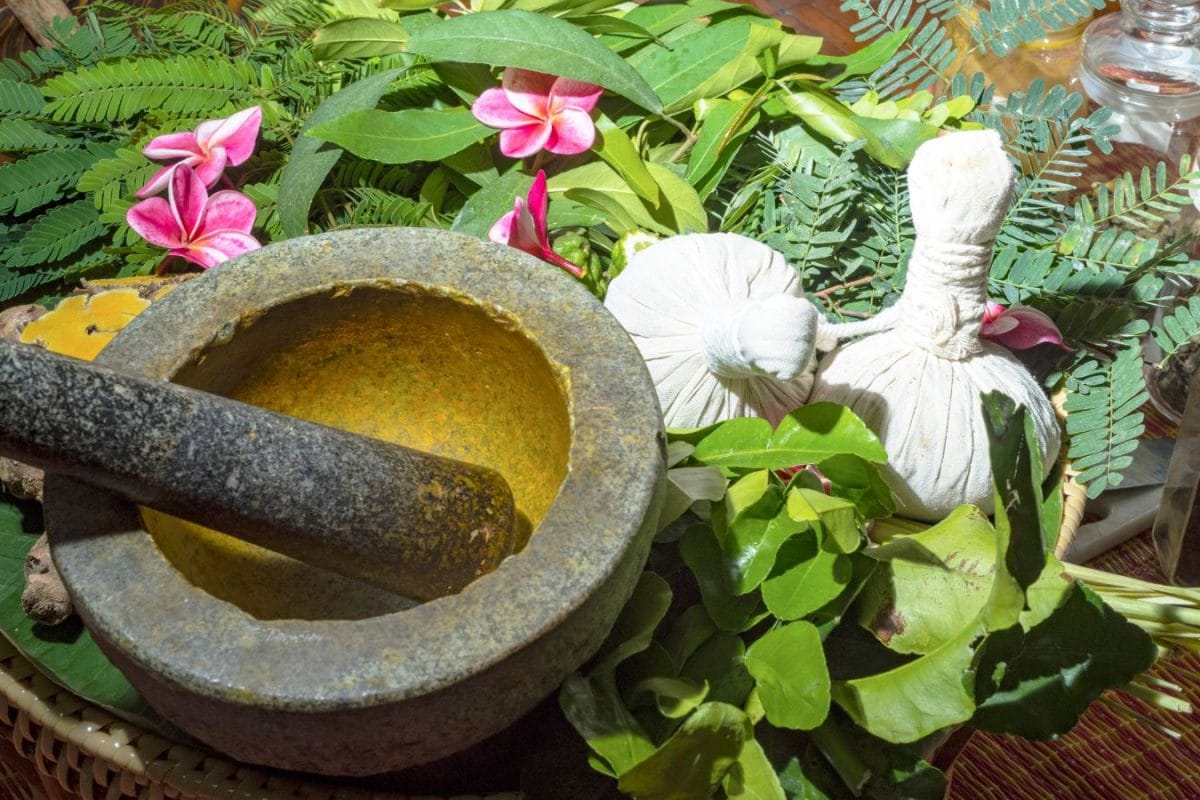 5 Wellness Experiences To Explore Without Leaving Delhi-NCR