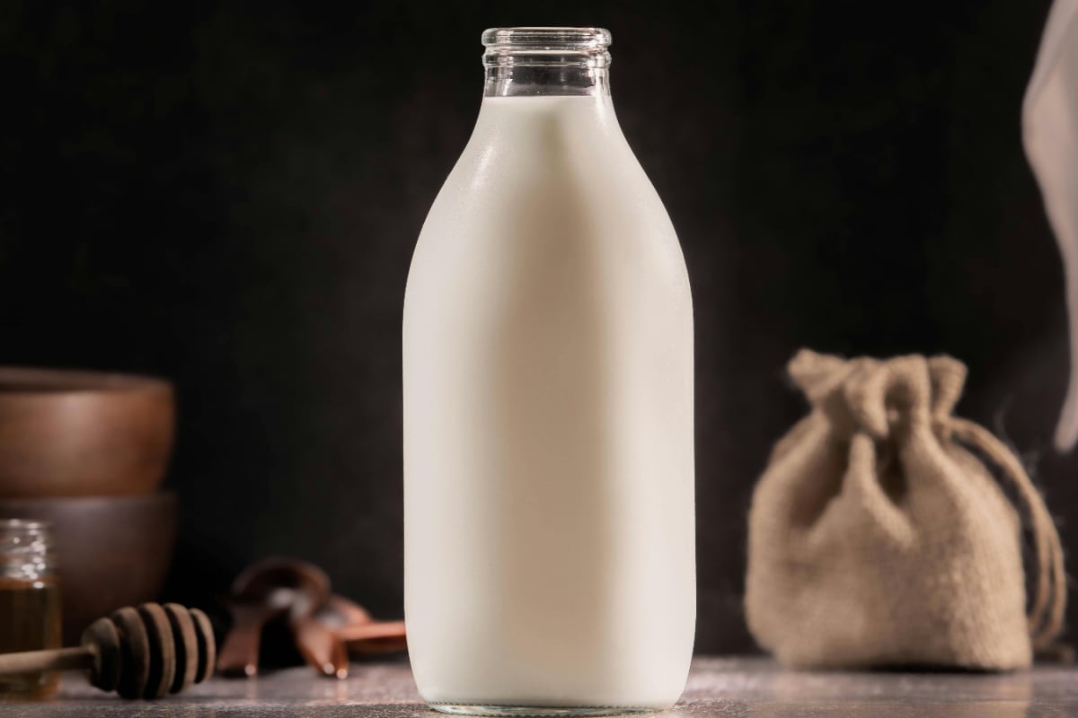 Camel Milk Vs Cow Milk: Which Is Healthier?