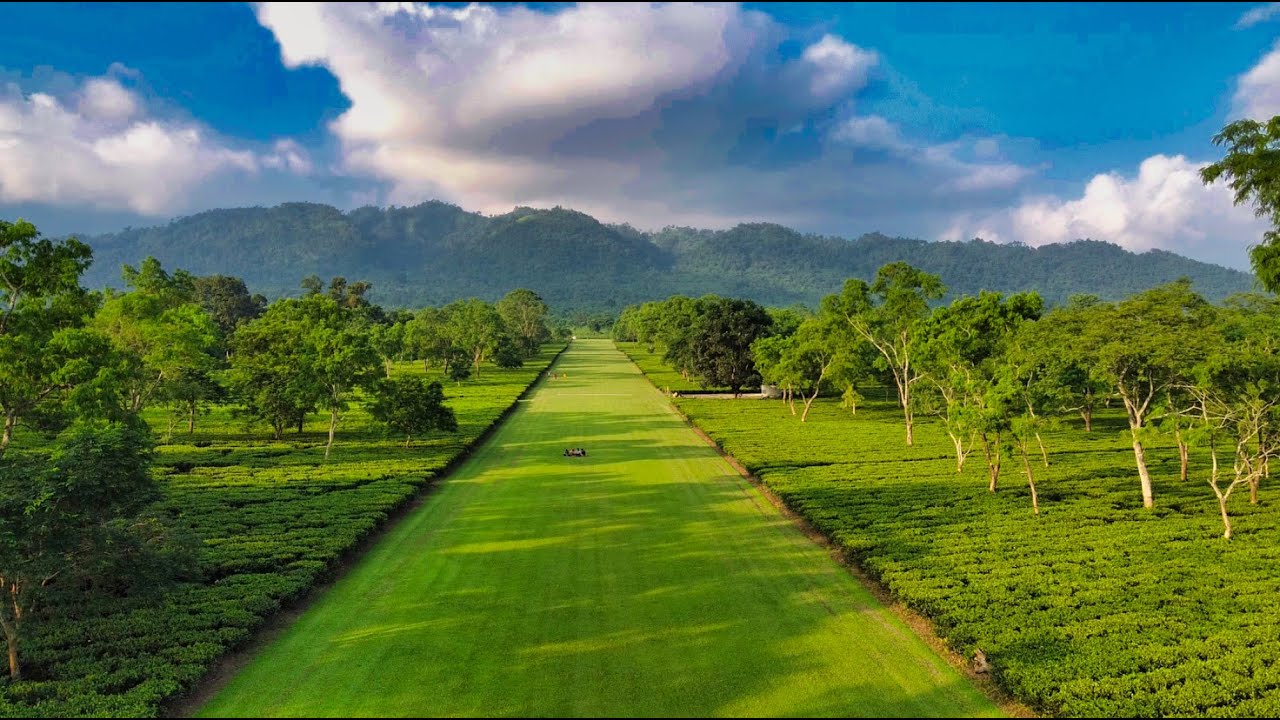 After PM Modi’s Manohari Visit, A Look At Assam’s Most Iconic Tea Estates