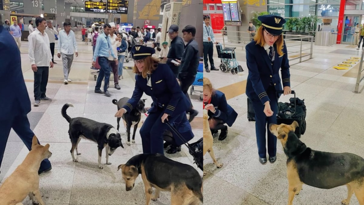 Delhi Airport Dog Controversy Ignites Online Fury Over Removal Claims