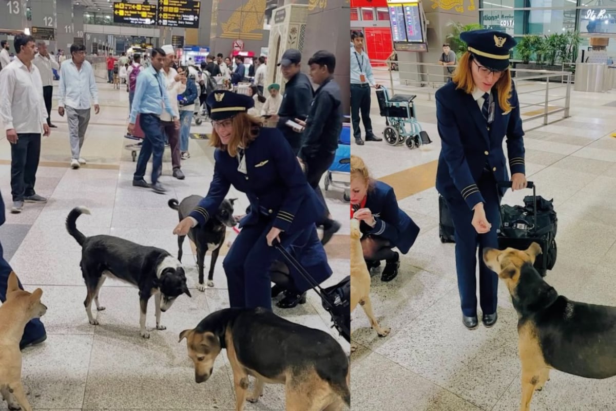 30 Dog Bite Cases Or Unfair Removal? Delhi Airport’s Dog Row Takes Over Internet