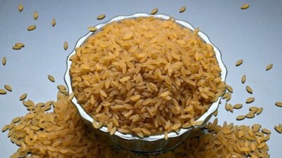 Unlike fortified rice, where nutrients are added on the surface, designer rice is built differently from the inside. (Image: X/@CSIT_IND)