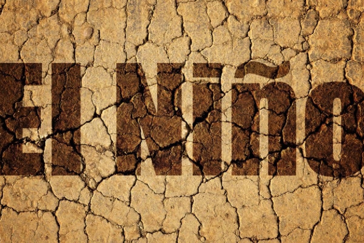 El Niño, Weak Monsoon Cloud FY27 Farm Outlook; West Asia Tensions May Disrupt Fertiliser Supply: ICRA