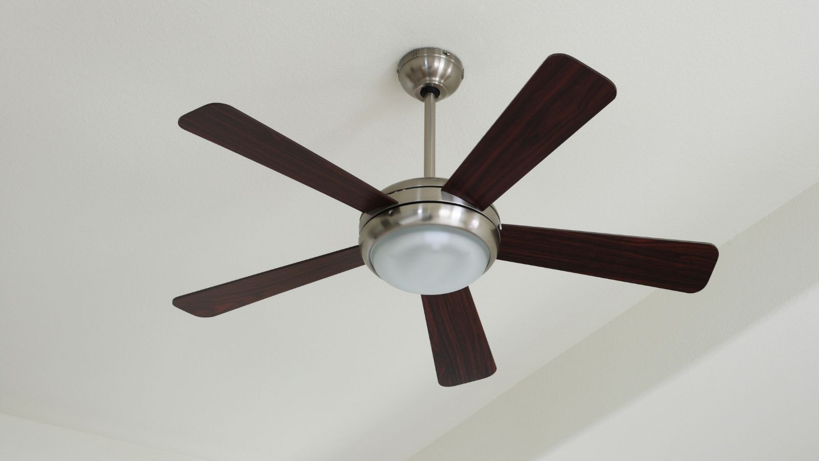 Heatwave Survival Guide: WHO's Smart Tips To Keep Your Home Cool 3