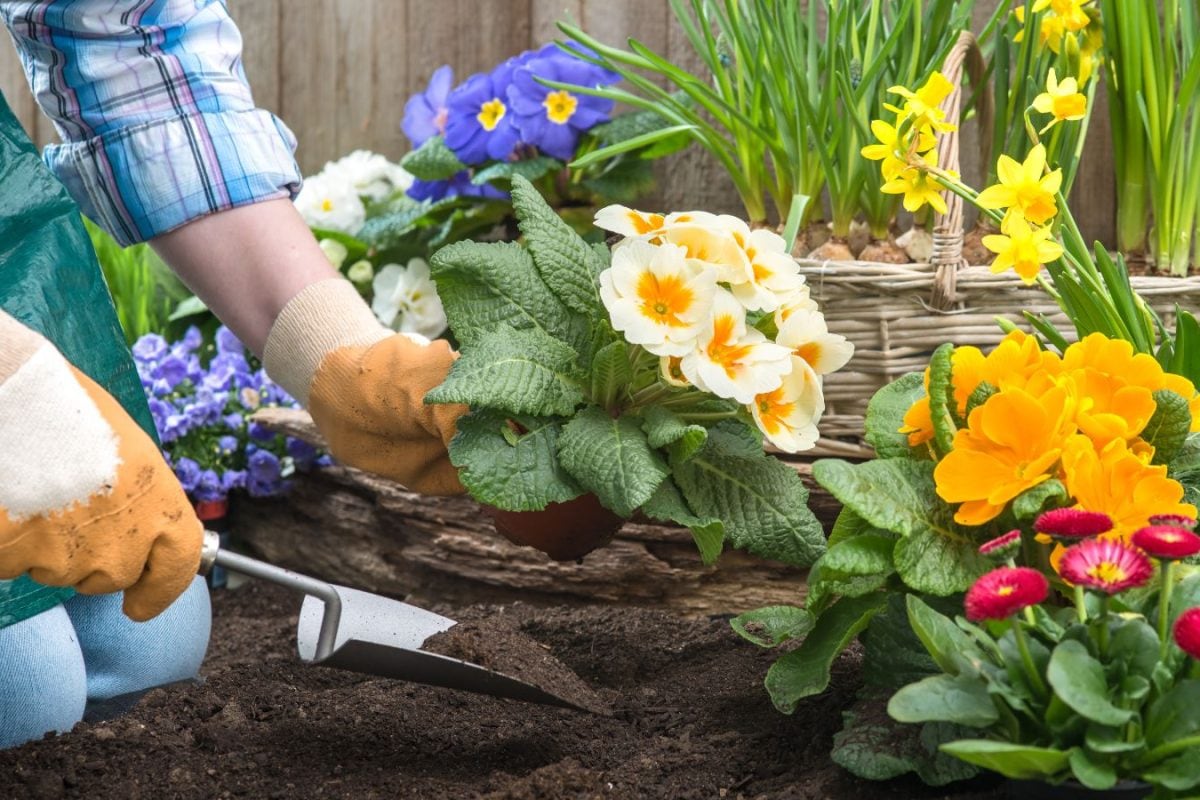 Stressed Out? These 6 Plants Can Turn Your Home Into A Calm Zone