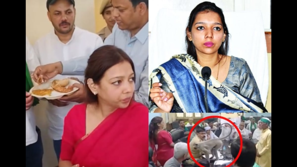 She Ate With Farmers, Gave Up Her Chair For A Monkey: Who Is IAS Officer Asmita Lal?