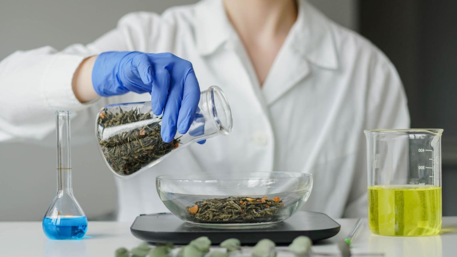 World Earth Day 2026: The Real Story Behind How Your Beauty Products Are Made