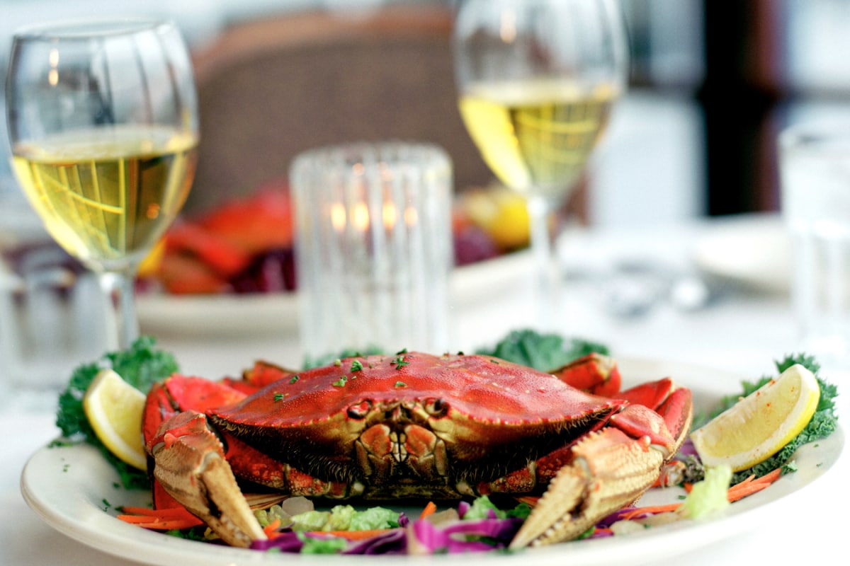 A Culinary Journey Through San Francisco’s Iconic Eats And Drinks