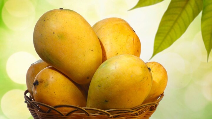 From Neighborhood Favourite to Premium Symbol: Exploring the World of Luxury Mangoes