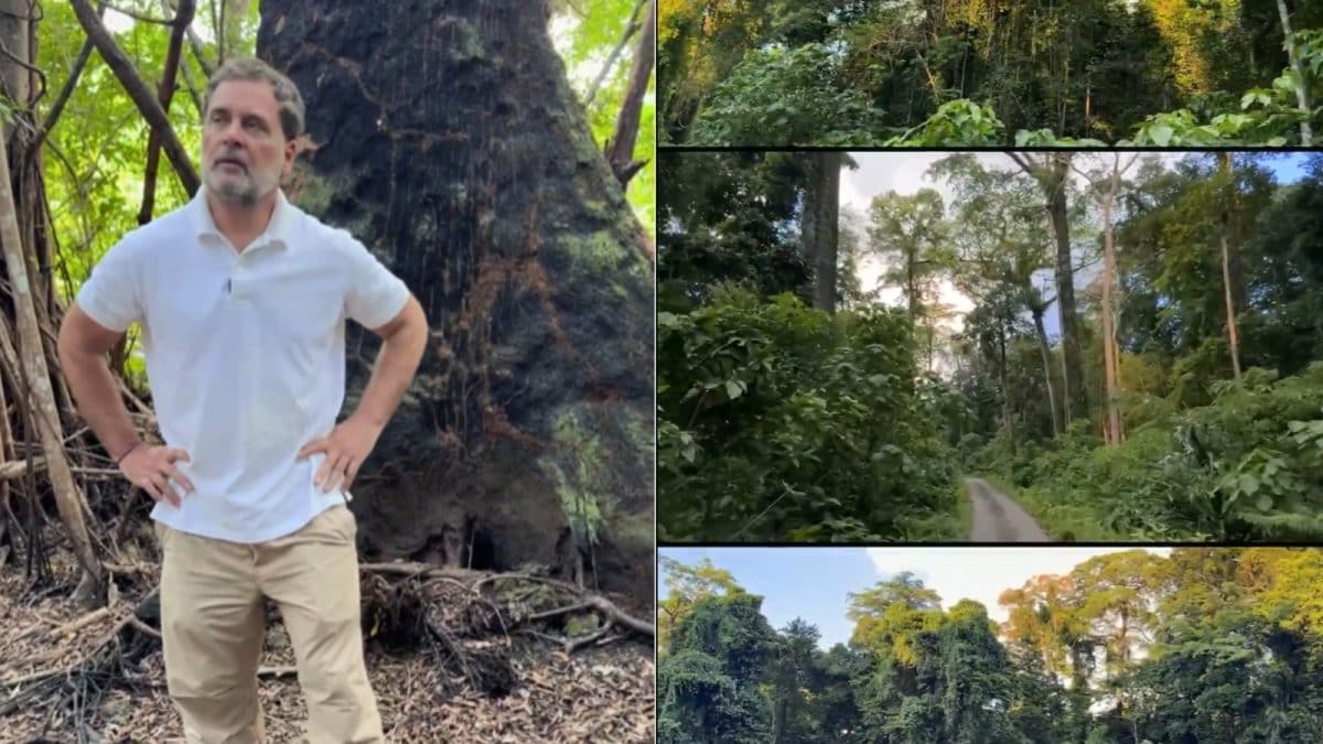 ‘Biggest Scam Against Natural Heritage’: Rahul Gandhi Targets Centre Over Great Nicobar Project