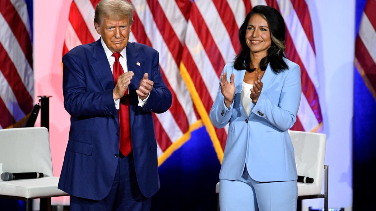 Will Tulsi Gabbard Be Fired? Donald Trump Asks Cabinet Advisers