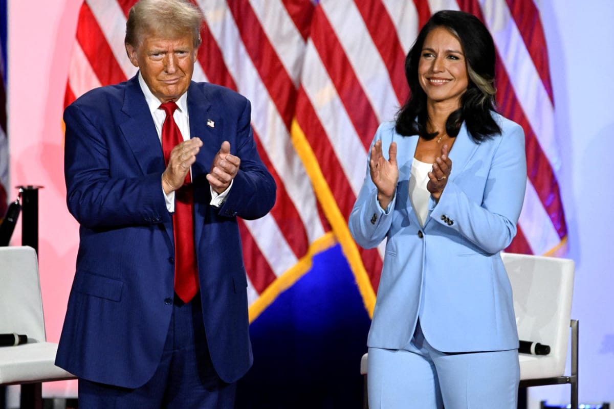 Will Tulsi Gabbard Be Fired? Donald Trump Asks Cabinet Advisers