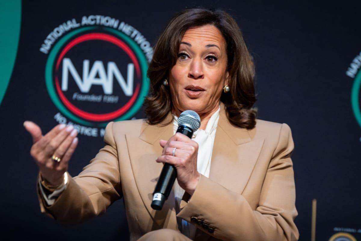 ‘I Am Thinking About It’: Kamala Harris Signals Another US Presidential Run