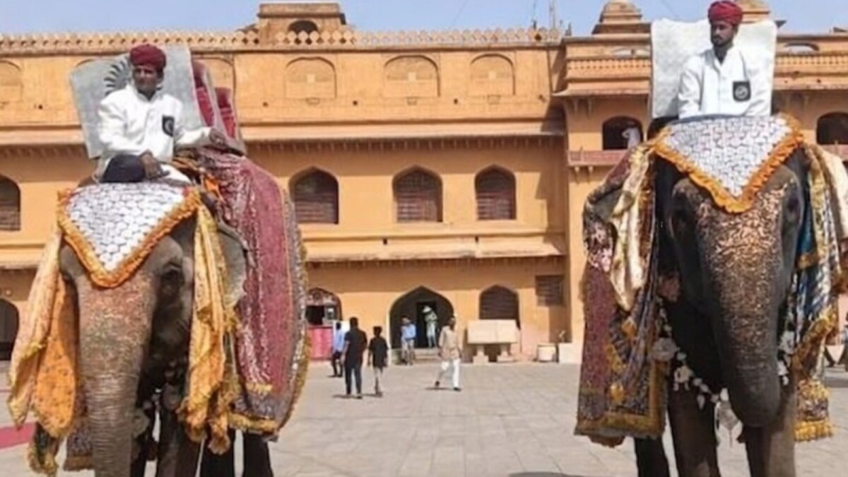 Anant Ambani's Birthday Celebrated At Jaipur's Hathi Gaon With Elephants, 3,000 Kg Fruit Buffet