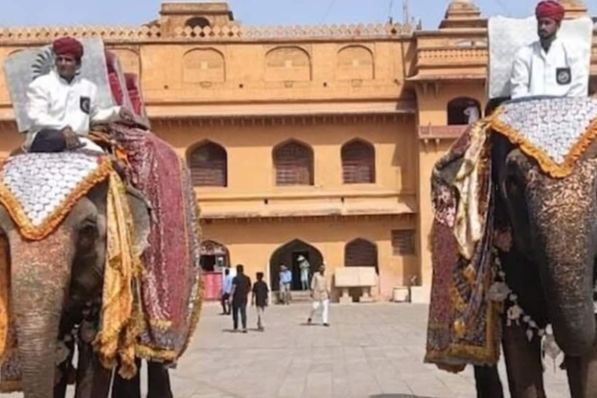 Anant Ambani's Birthday Celebrated At Jaipur's Hathi Gaon With Elephants, 3,000 Kg Fruit Buffet