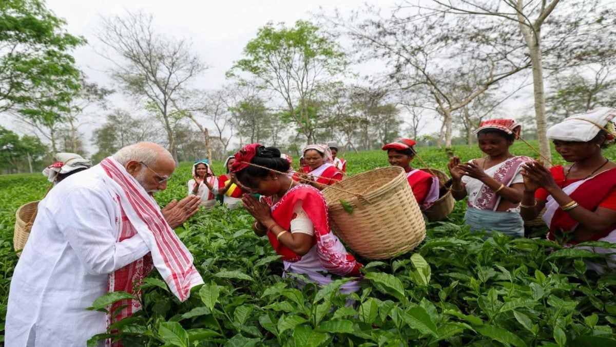 From Plucking Tea Leaves To Jhumur Songs: PM Modi's Day Out With Tea Garden Workers In Assam