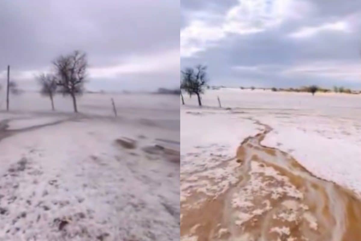 Bikaner Becomes Kashmir, Turns White After Hailstorm; Internet Reacts