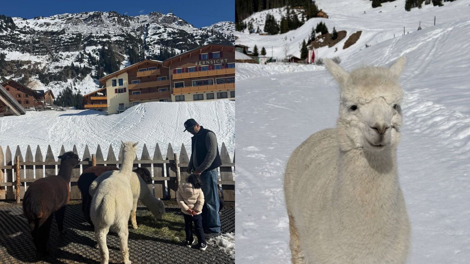 As seen in Alia’s posts, the property offers unique experiences like meeting local alpacas, adding a touch of whimsy to the luxury.