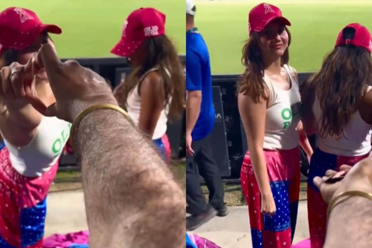 'The Real MVPs Are...': Fan Wins Praise Online For Handing Out Chocolates To IPL Cheerleaders