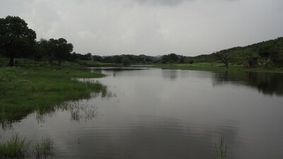 Arvari River in Rajasthan is known as the shortest river in India. It flows for only about 90 kilometers. Situated in the Alwar district, this river is famous for being revived by local villagers after it had completely dried up.