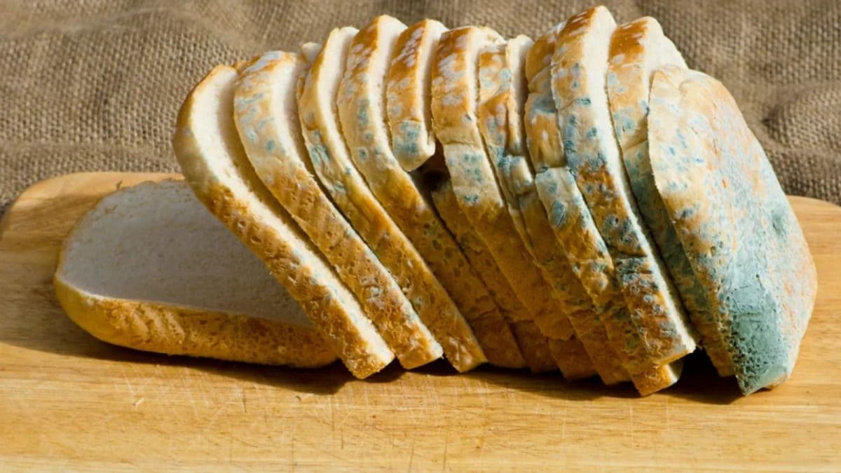 3,000 Years Before Penicillin, Egyptians Were Already Treating Infections With Mould