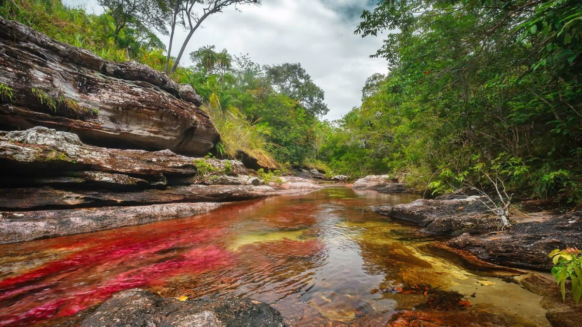 This Colombian River Changes Colours Like A Painting