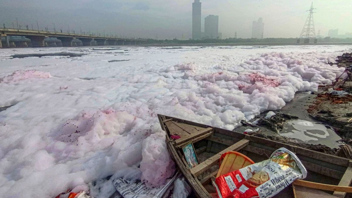Delhi Deploys Weed Harvesters To Clear Najafgarh Drain, Reduce Yamuna Pollution