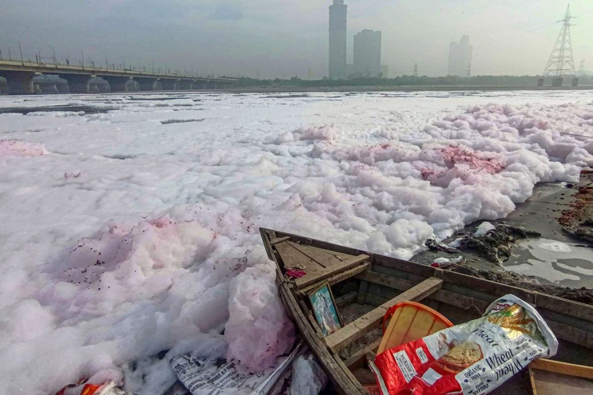 Delhi Deploys Weed Harvesters To Clear Najafgarh Drain, Reduce Yamuna Pollution