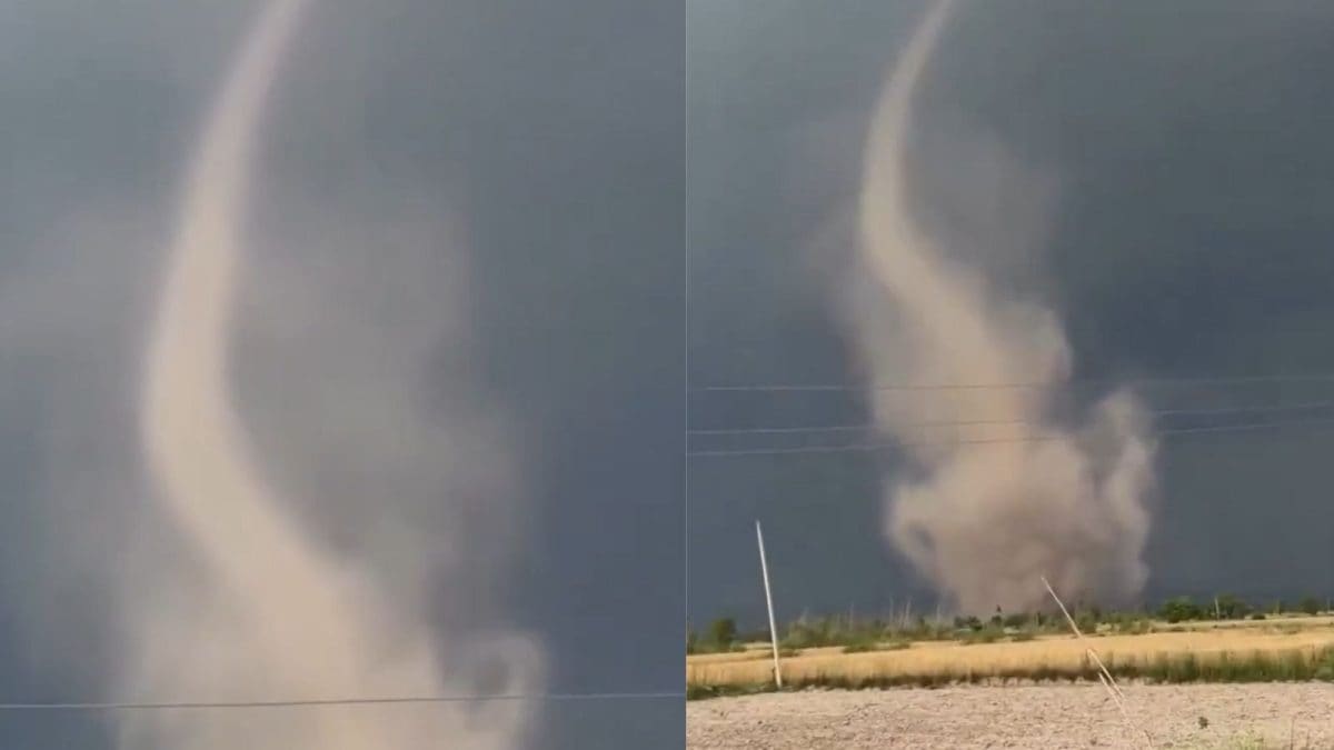 Unusual Weather Event: Tornado-Like Winds Spotted In Jammu’s Akhnoor | Watch