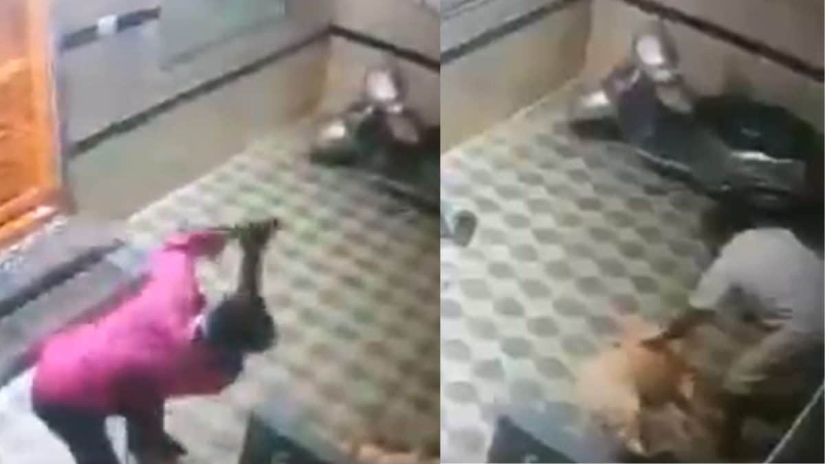 Bengaluru Man Attacks Neighbour’s Pet Dog After It Barked At His Wife | Video