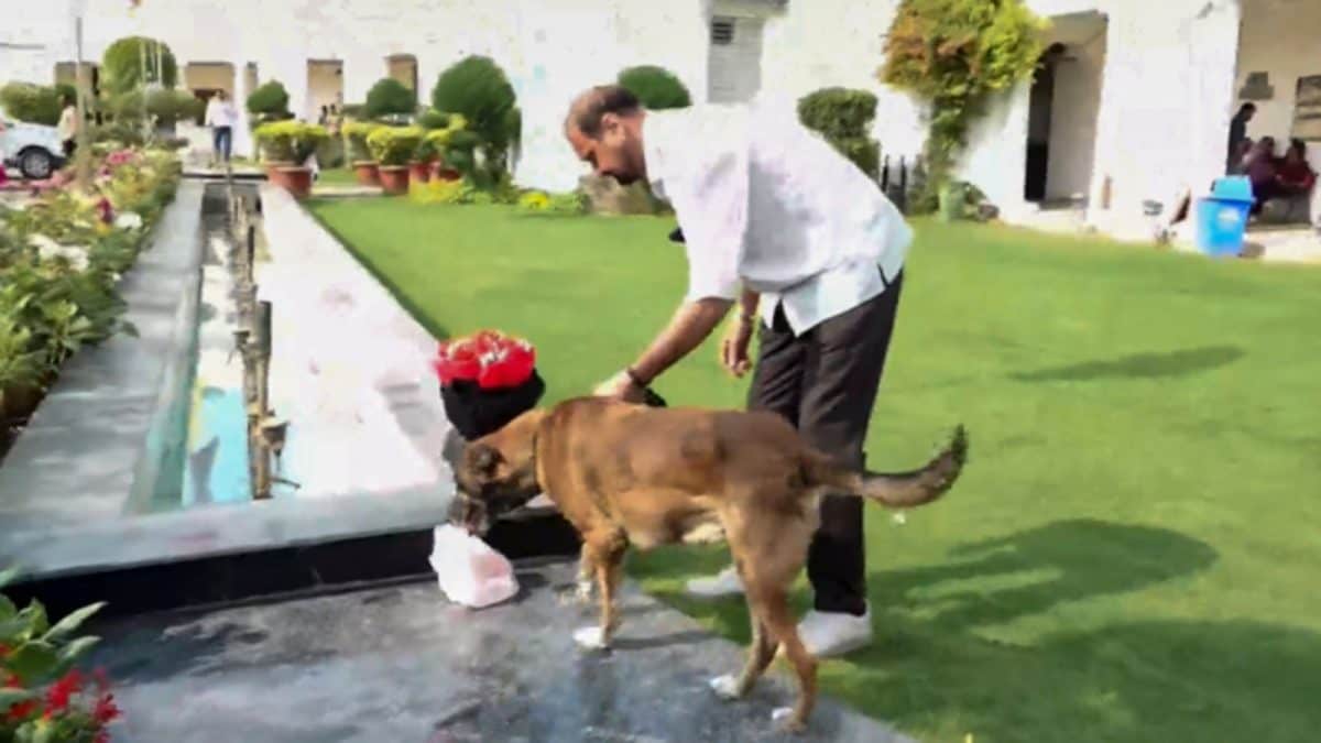 Delhi Assembly Breach: Tis Hazari Court Remands Sarabjit Singh to 8-Day Police Custody