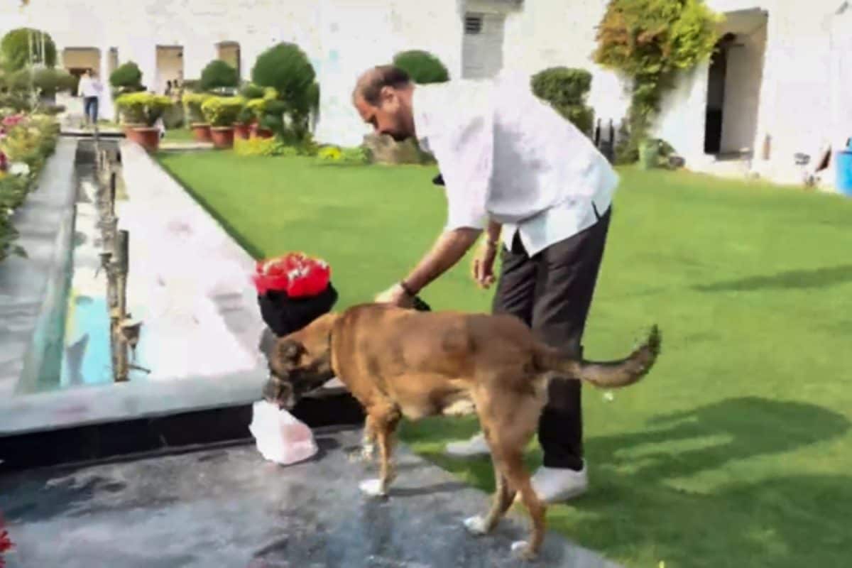 Delhi Assembly Breach: Tis Hazari Court Remands Sarabjit Singh to 8-Day Police Custody