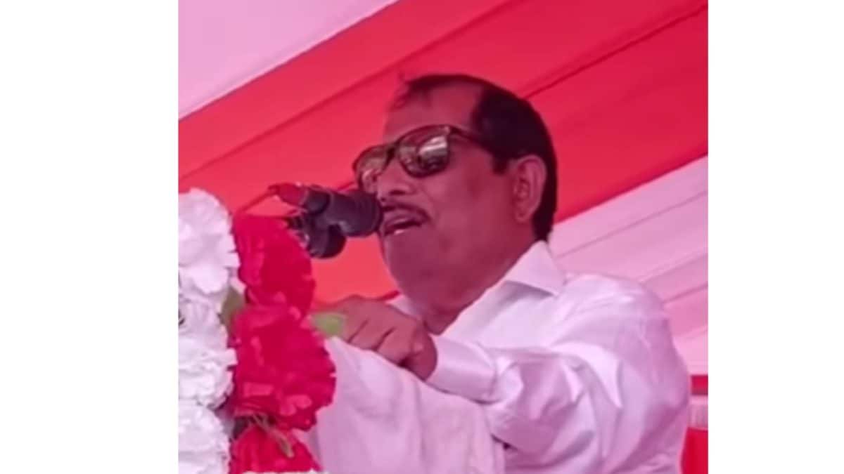 ‘Worship Modi–Yogi, Not Stones’: BJP MLA From UP's Hardoi Under Fire Over Controversial Remark