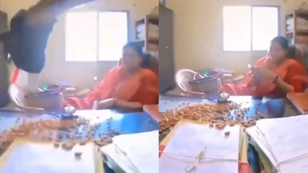 Frustrated Over Missing Files, Chattisgarh Man Throws Almonds On Govt Officer's Desk | Video
