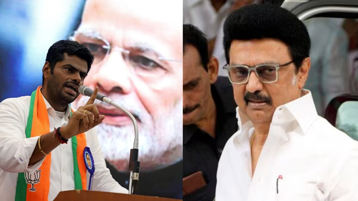 Tamil Nadu Elections 2026: Richest And Poorest Candidates | Affidavit Wealth Data Revealed