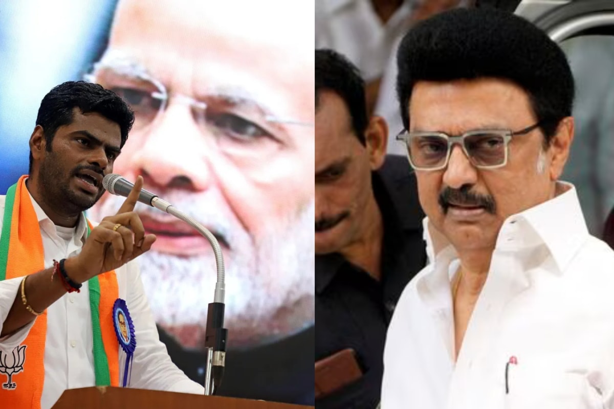 Tamil Nadu Elections 2026: Richest And Poorest Candidates | Affidavit Wealth Data Revealed