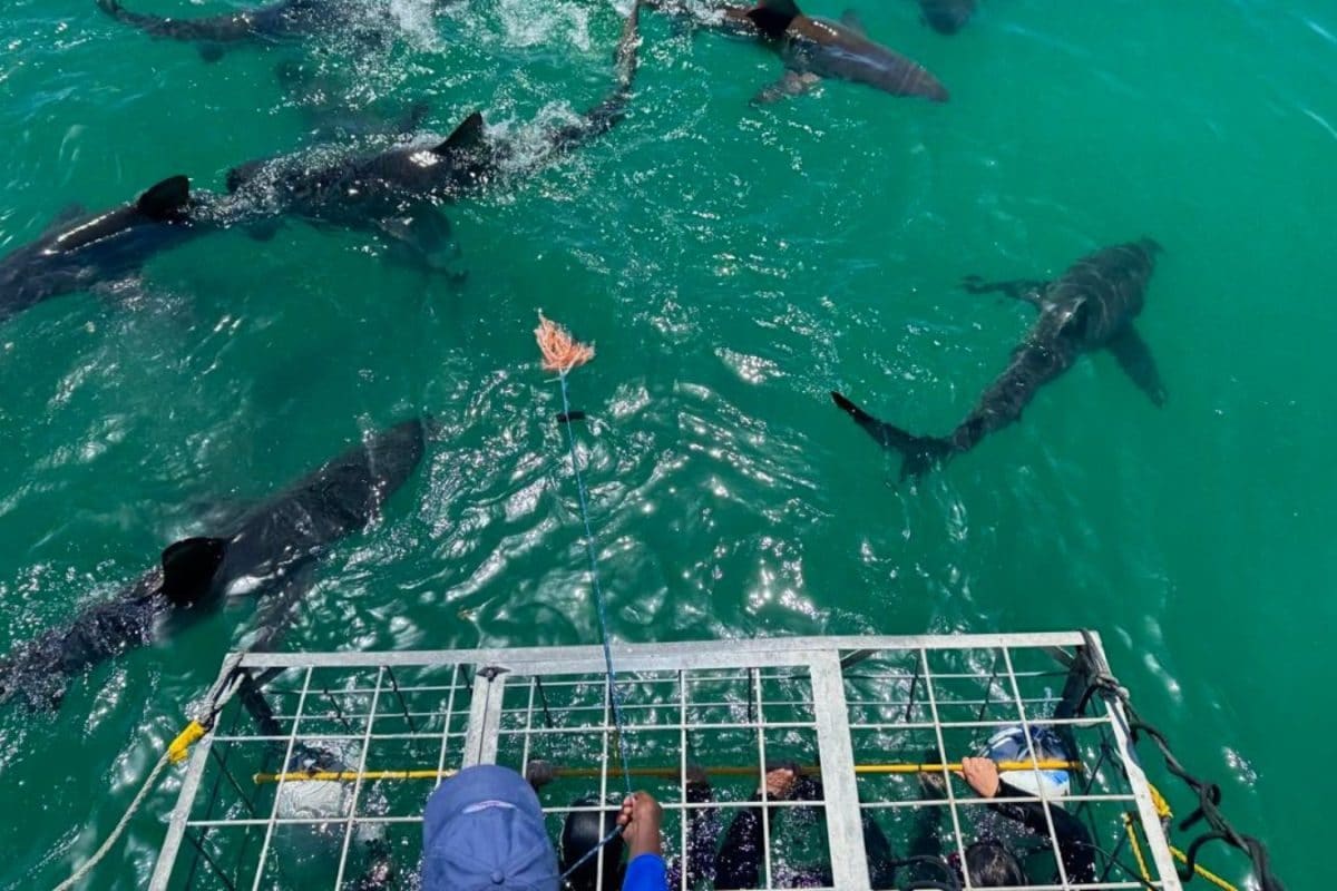 Travelling Across South Africa Has No Right Being This Good!